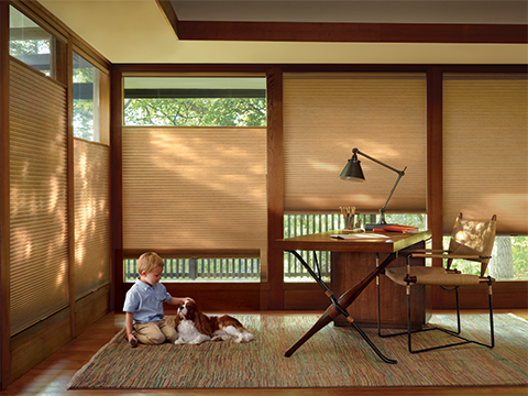 TWF_Design-Solutions_Window-Treatments-by-Function_Room-Darkening_Duette-Honeycomb-Shades_Tunnel-Image.png