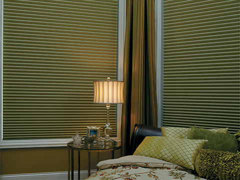 Duette® Honeycomb Shades  