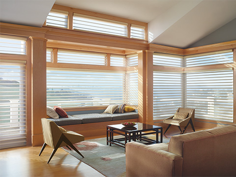 TWF_Design-Solutions_Window-Treatments-by-Room-Type_Living-Rooms_Tunnel-Image-1.jpg