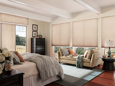 TWF_Design-Solutions_Window-Treatments-by-Room-Type_Bedroom_Tunnel-Image4.png