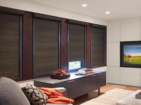 TWF_Design-Solutions_Window-Treatments-by-Room-Type_Living-Rooms_Tunnel-Image-2.jpg