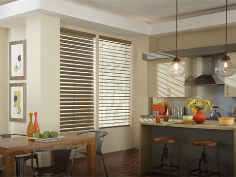 Hunter Douglas Reveal® with MagnaView® Blinds